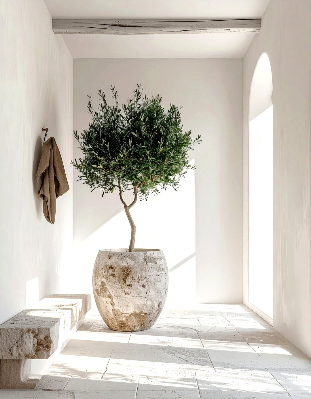 Potted olive tree - 30 botanical decor ideas