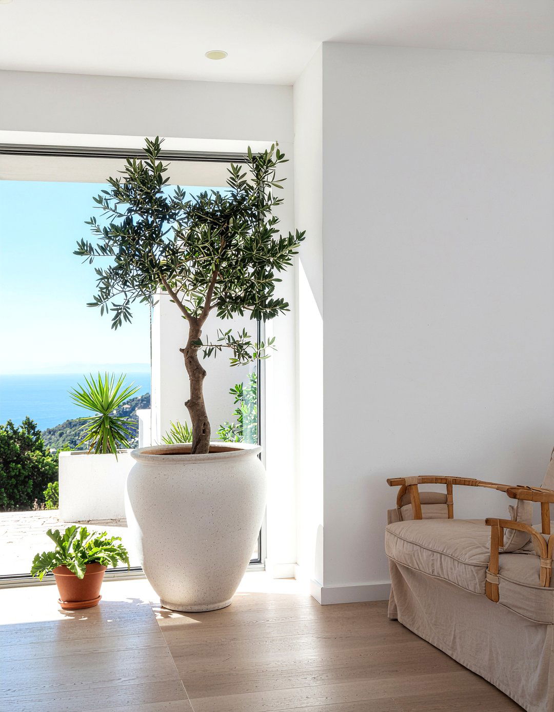 Potted trees - 30 living room on a budget ideas