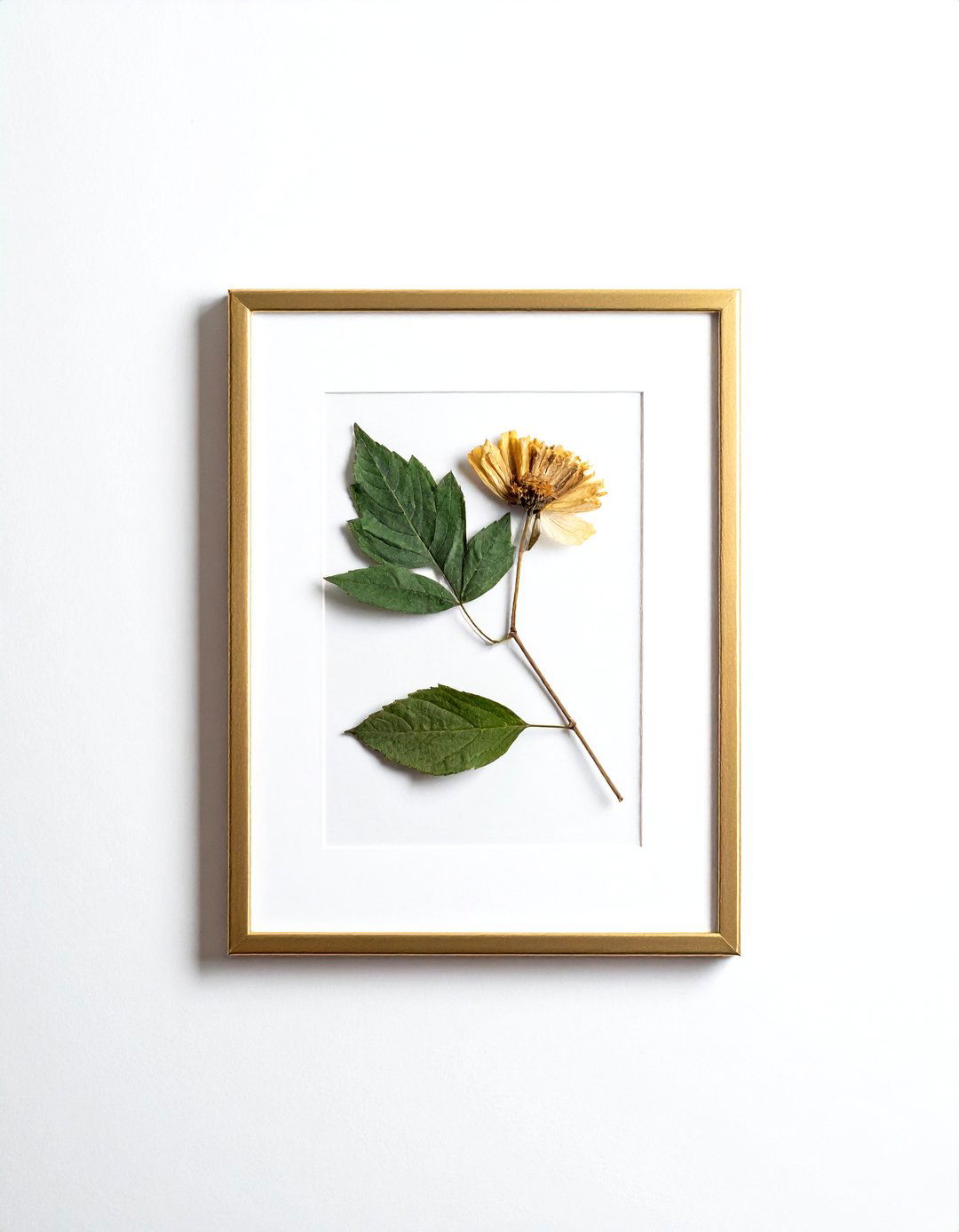 Pressed Botanical Specimen Frame - 30 collected travel decor ideas