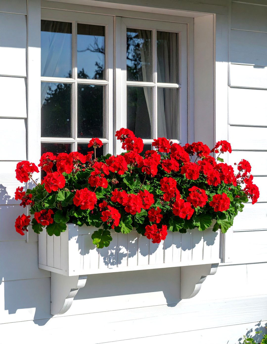 Red geranium window box - 30 window box ideas