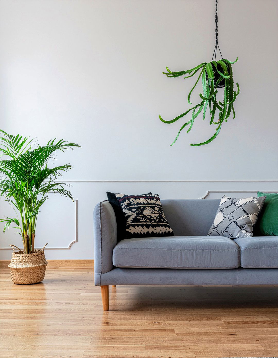 Rickrack Cactus - 30 living room succulents