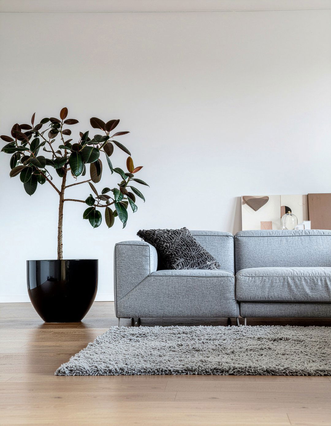 Rubber tree - 30 living room low light plants