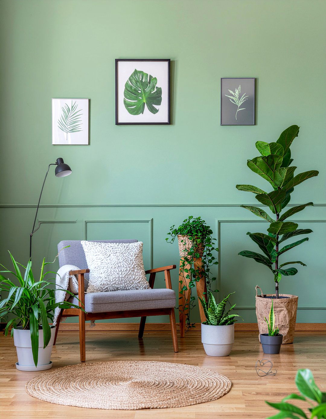 Sage green walls with indoor plants - 30 living room sage green walls