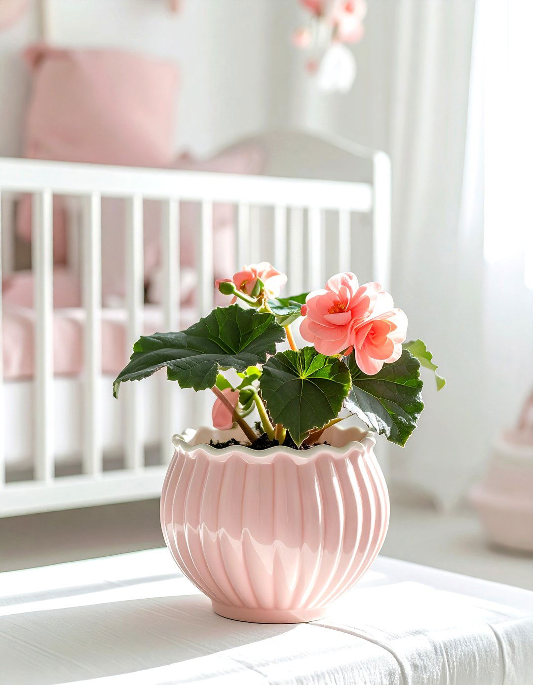 Scalloped Edge Planter - 30 ceramic planter ideas