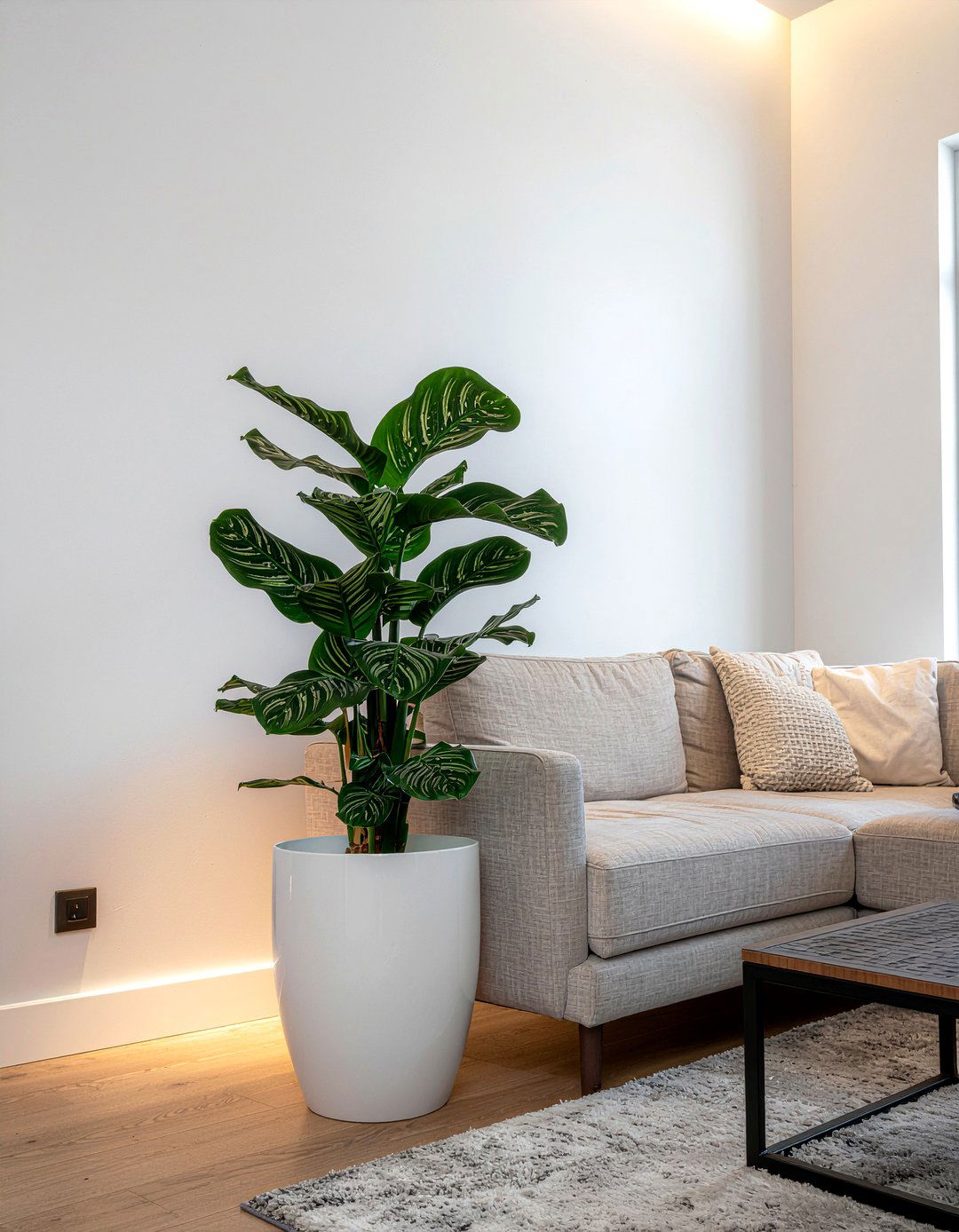 Self Watering Planter - 30 living room planters