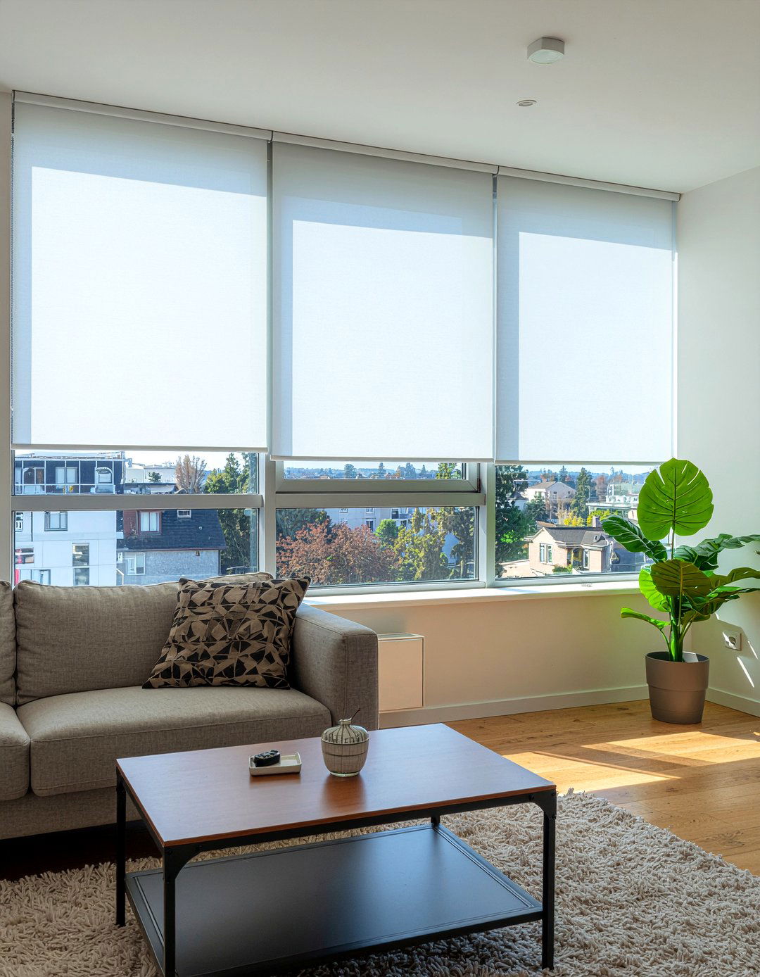 Sheer roller blinds - 30 living room roller blinds