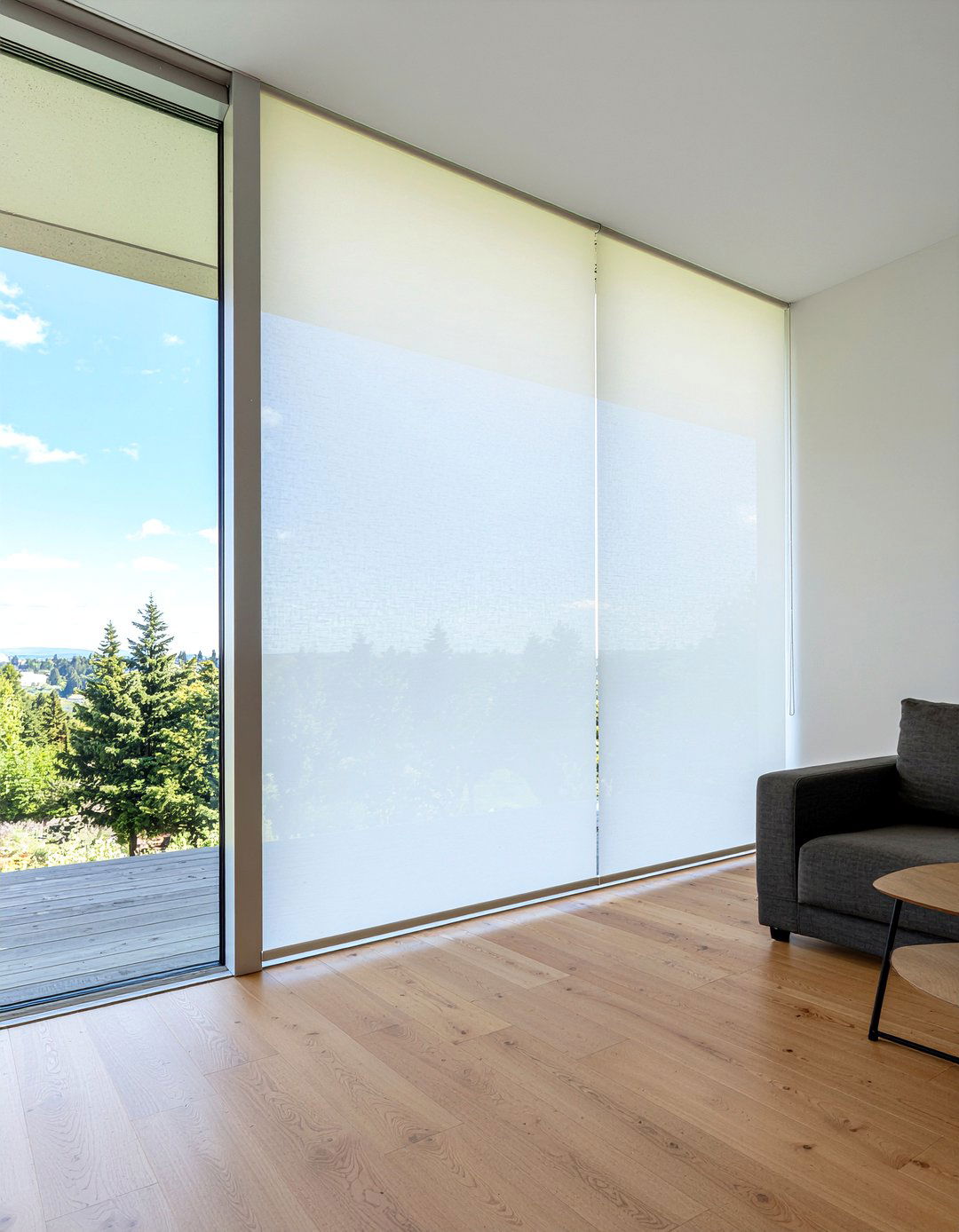 Sheer vertical blinds - 30 living room vertical blinds