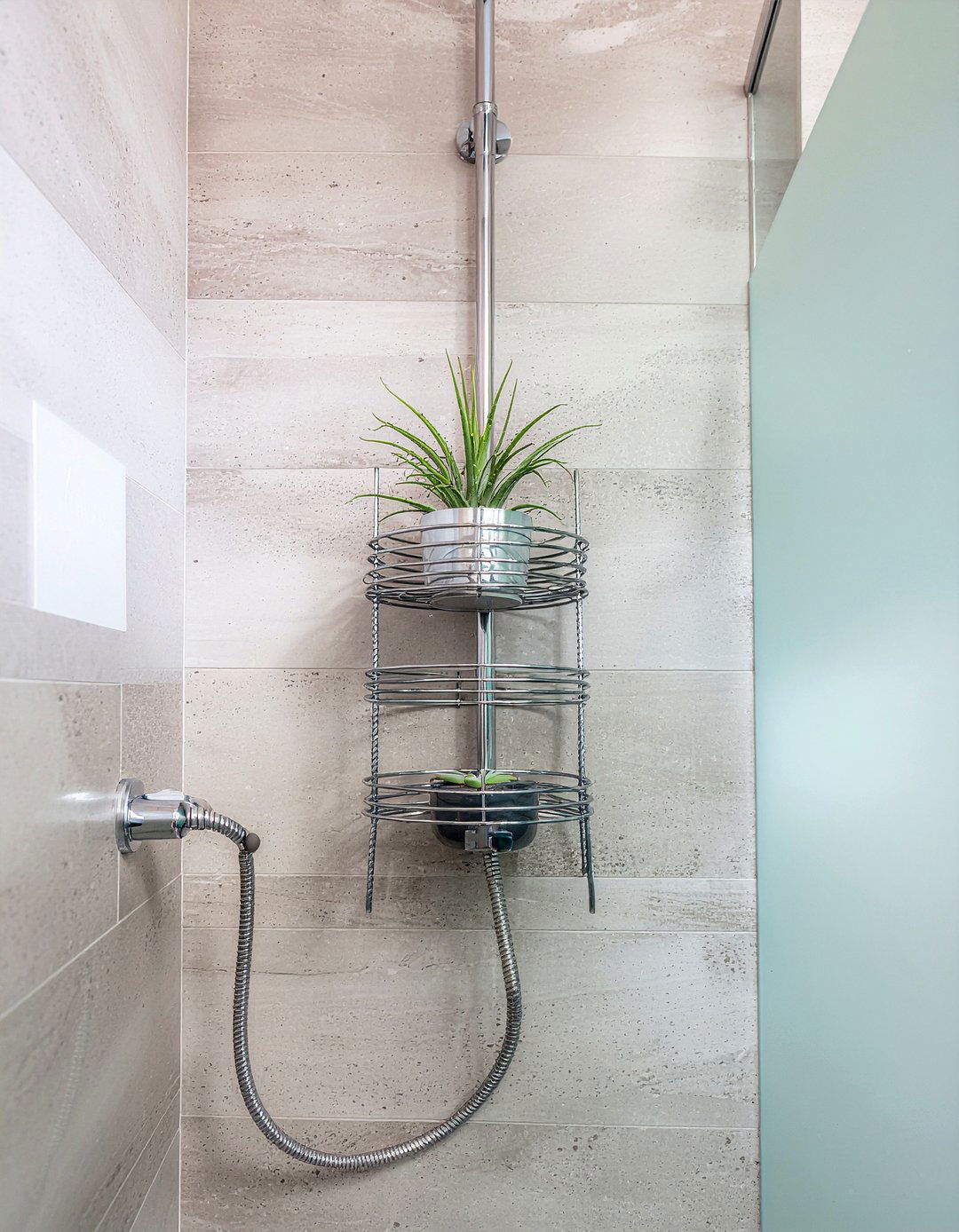Shower Caddy Succulent - 30 bathroom succulent ideas
