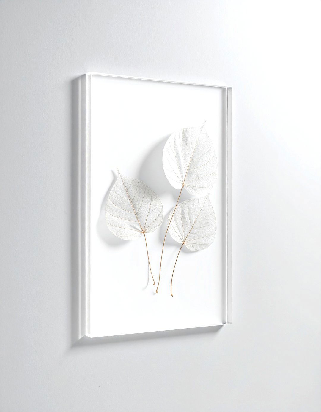 Skeleton leaf glass display - 30 curiosity decor ideas