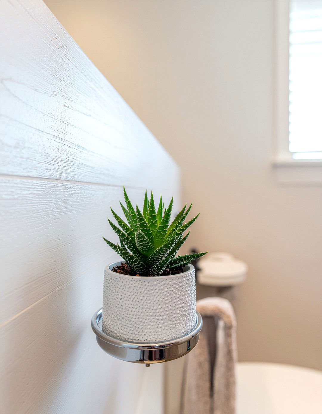 Small Bathroom Succulent - 30 bathroom succulent ideas