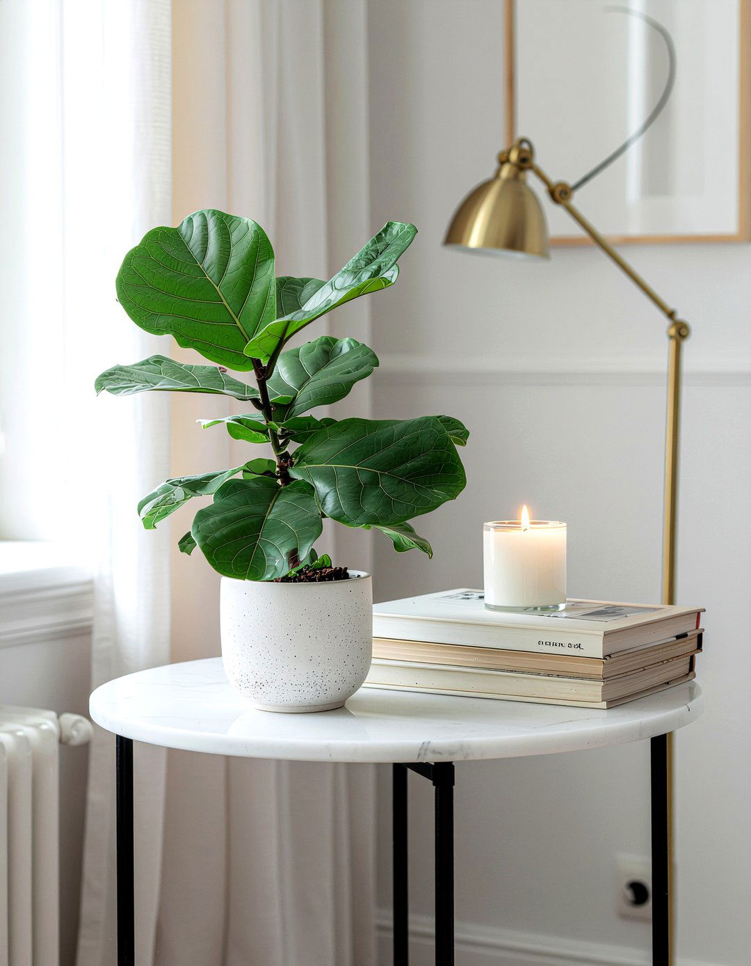 Small Fiddle Leaf Fig On Side Table - 30 fiddle leaf fig ideas