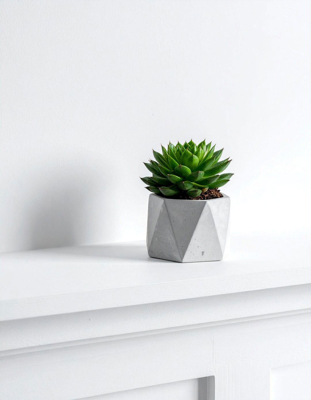 Small Potted Succulent - 30 minimalist mantel ideas