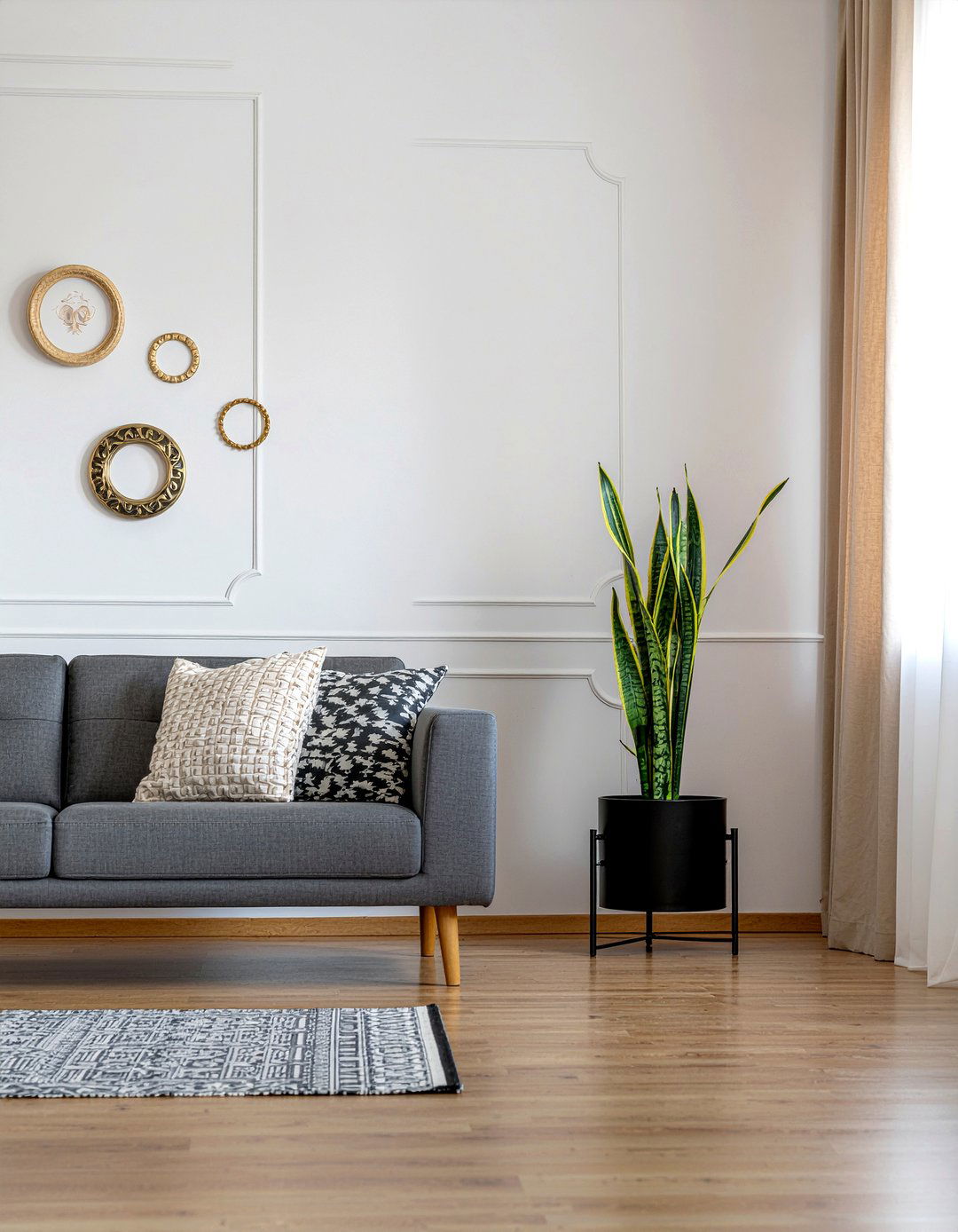 Snake Plant - 30 living room succulents