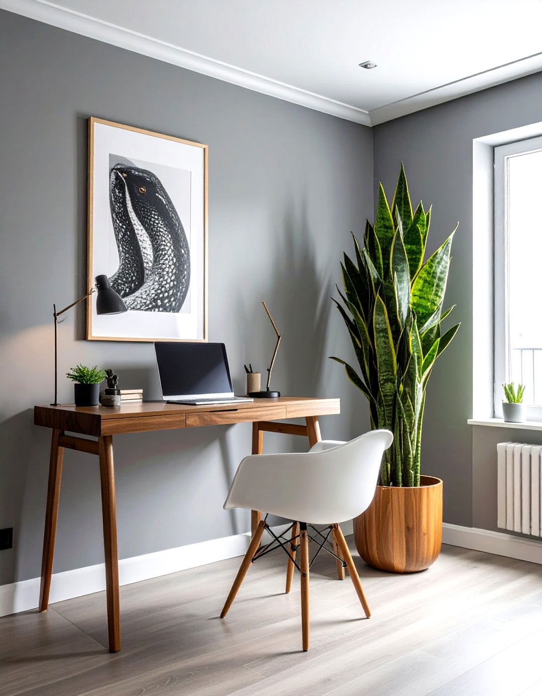 Snake Plant - 30 indoor plant ideas