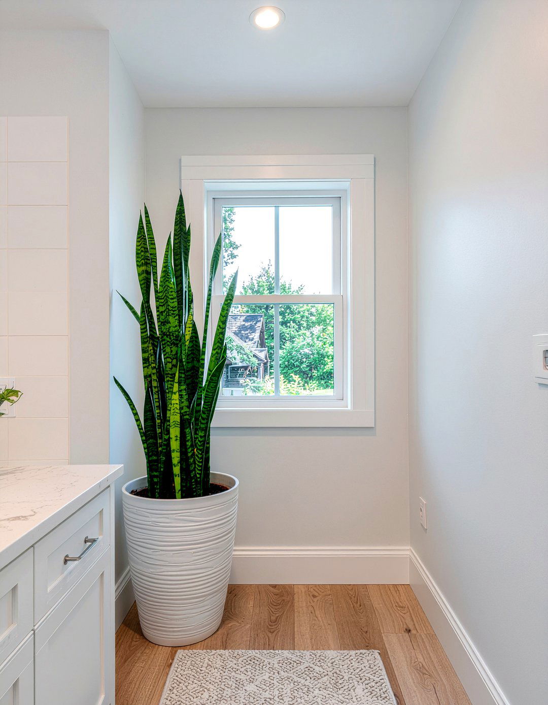 Snake Plant Bathroom Corner - 30 bathroom succulent ideas
