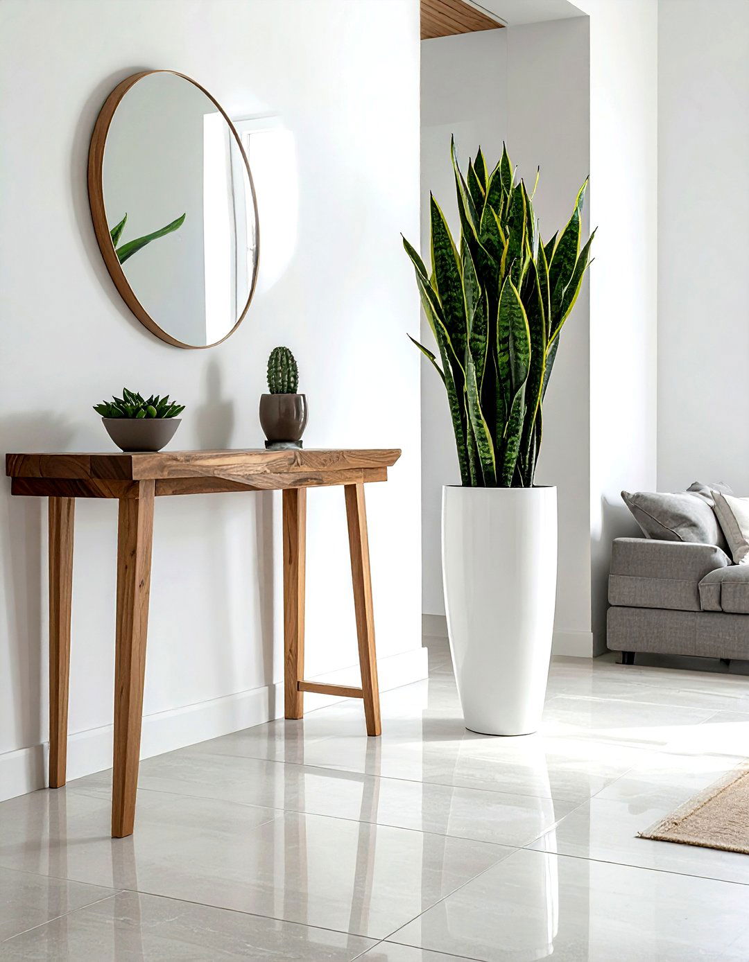 Snake Plant Entryway - 30 living room snake plant ideas