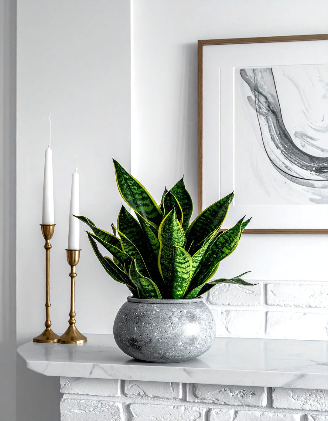 Snake Plant Fireplace Mantel - 30 living room snake plant ideas