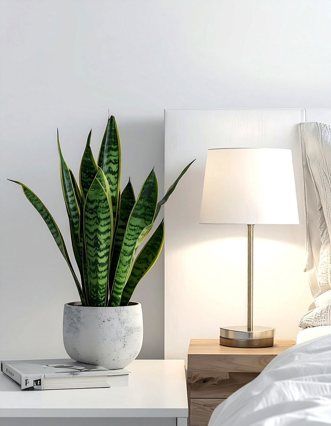 Snake plant on bedside table - 30 snake plant ideas