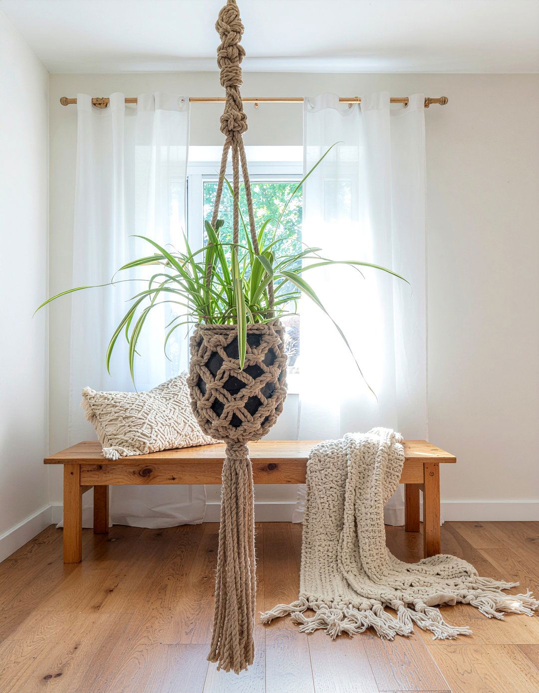 Spider plant - 30 living room low light plants