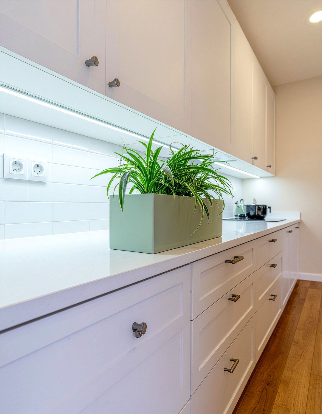 Spider plant for kitchen cabinets - 30 kitchen potted plant ideas