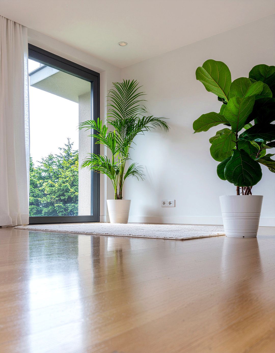 Statement floor plants - 30 low ceiling living room ideas