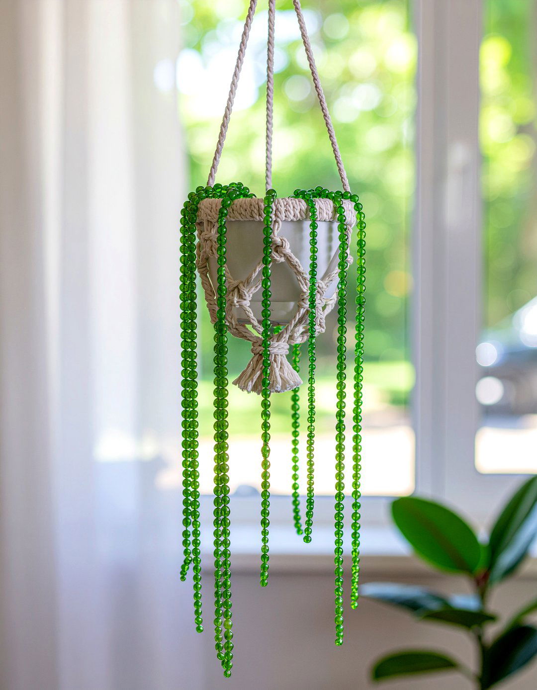 String Of Pearls - 30 living room succulents