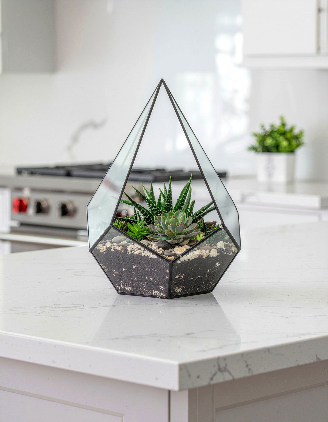 Succulent terrarium for kitchen island - 30 kitchen succulent ideas