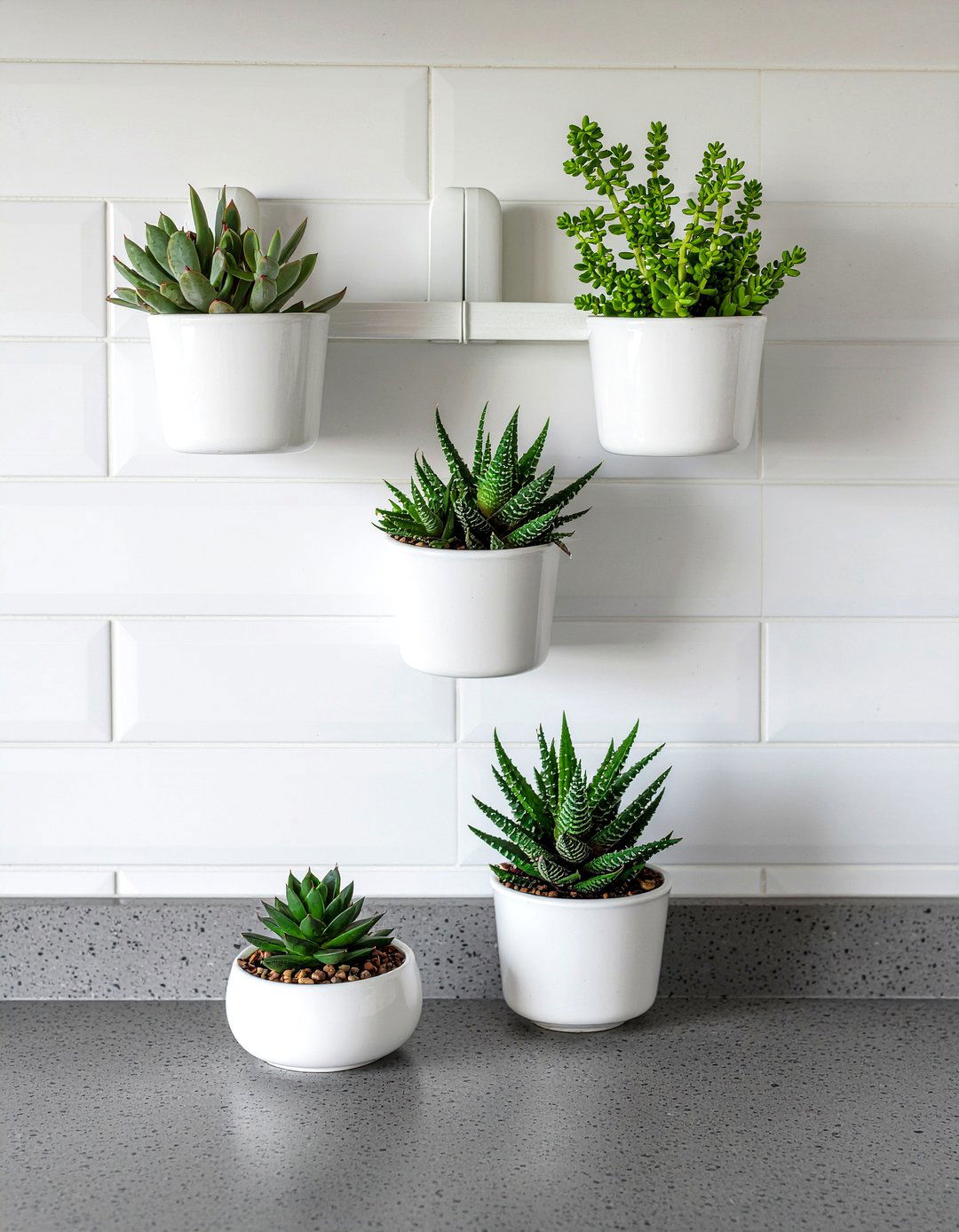 Succulent wall pocket planters - 30 kitchen succulent ideas