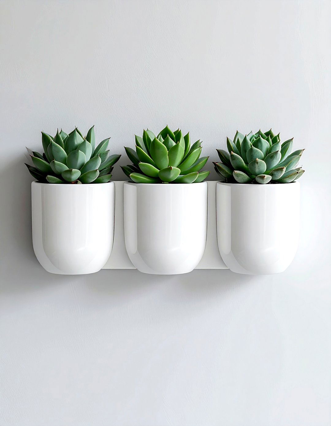 Succulent wall pocket - 30 dining room succulent ideas