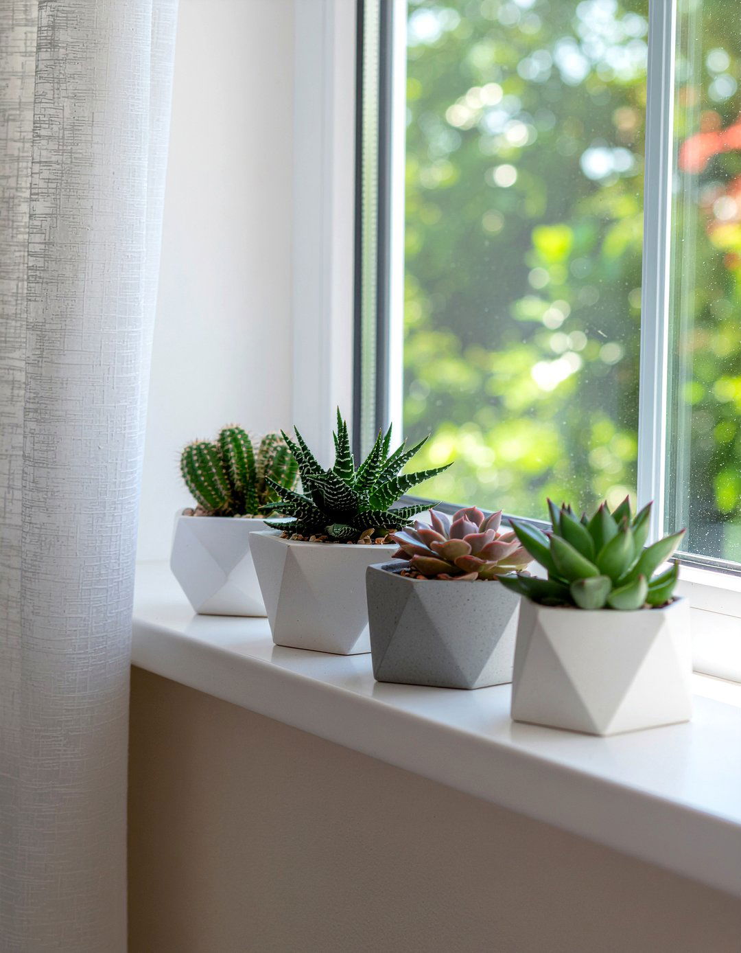 Succulent window garden - 30 bedroom hobby display ideas