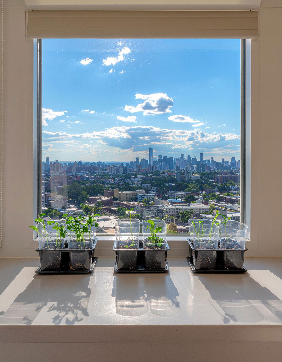 Suction cup herb planters window - 30 kitchen window herb garden ideas