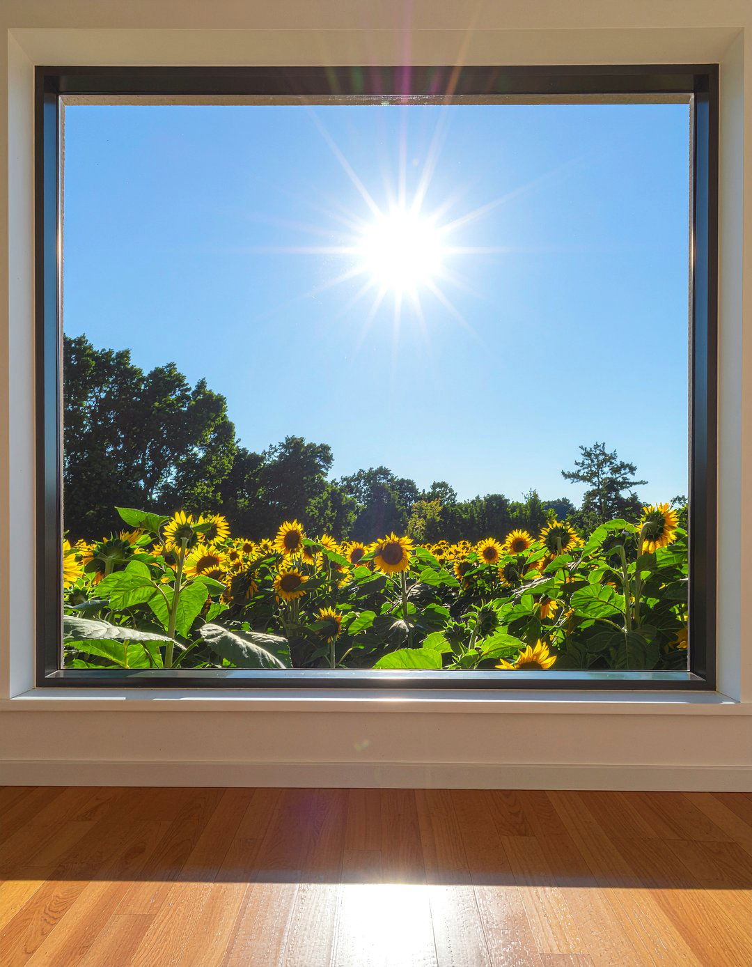 Sunflower Window Film - 30 sunflower bedroom ideas