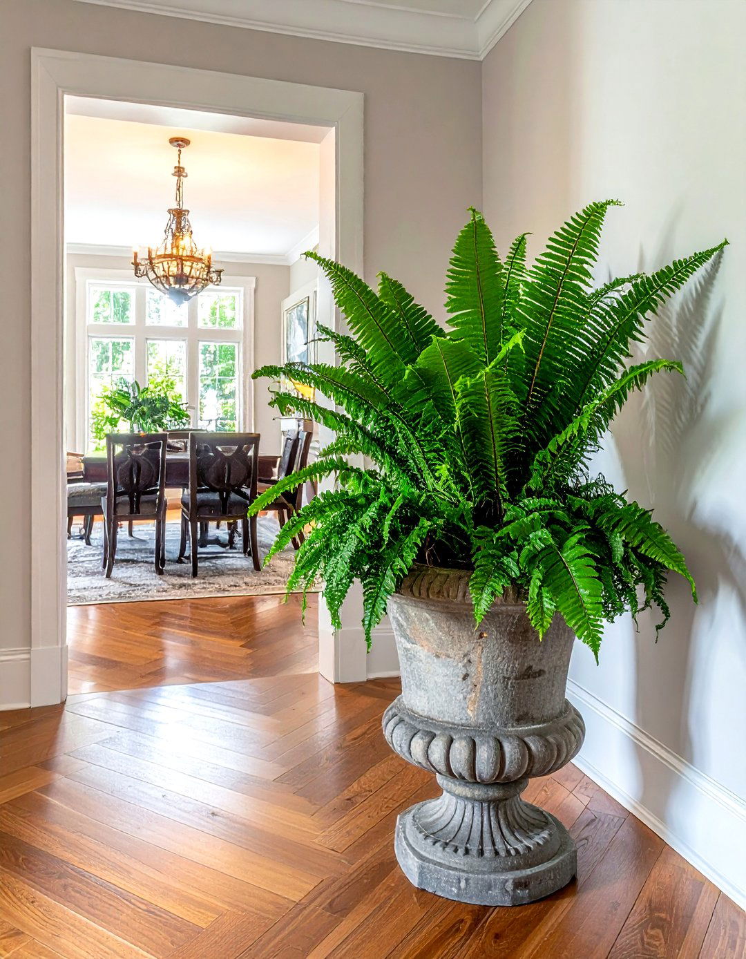 Sword Fern Entryway - 30 dining room fern ideas