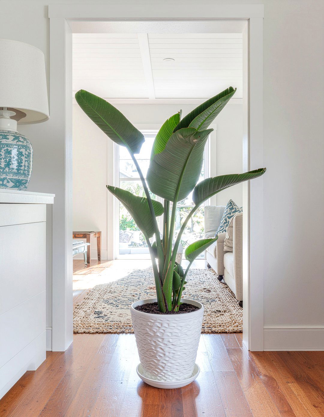 Tall Indoor Entryway Plant - 30 living room entryway ideas