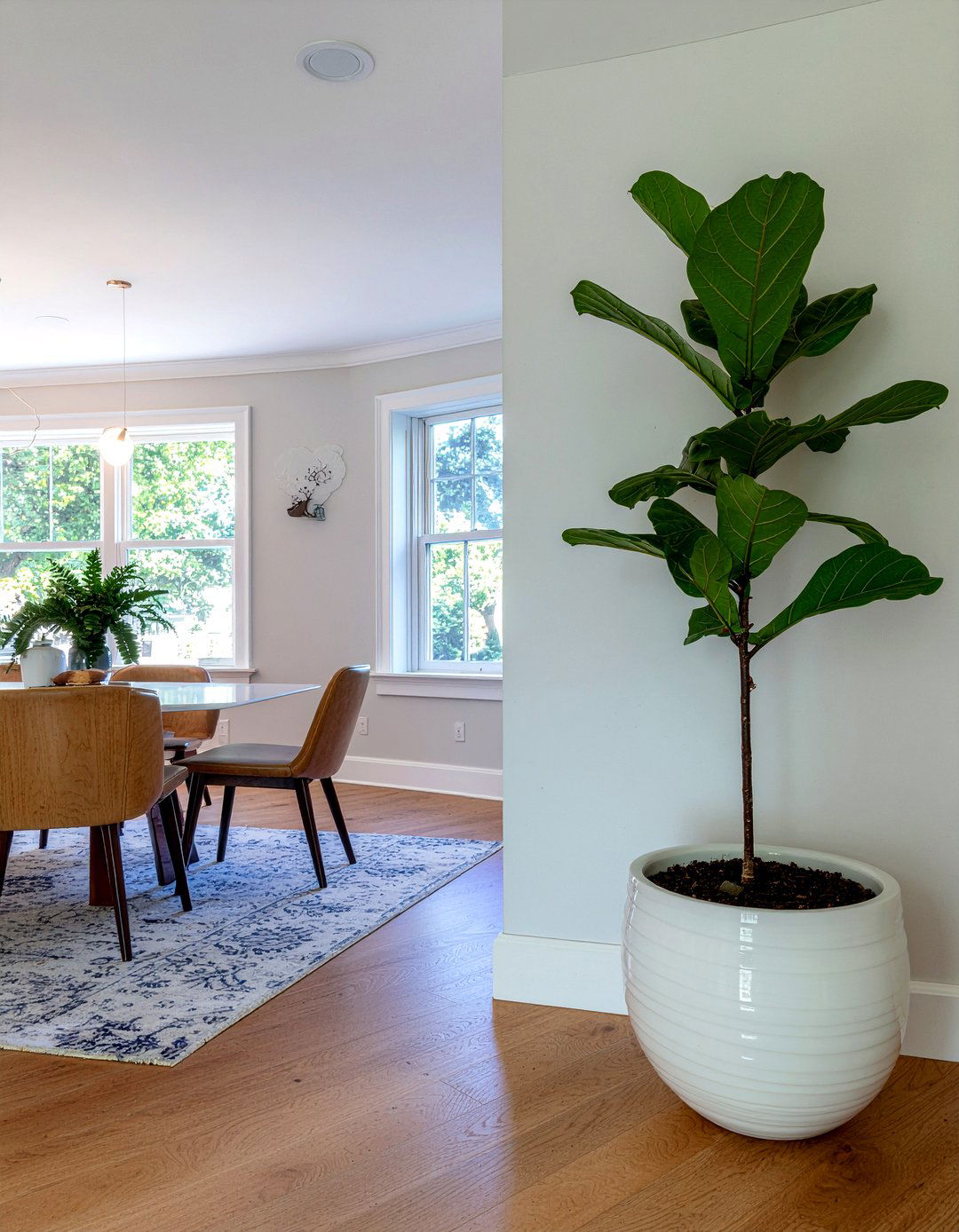 Tall Indoor Plant Corner Placement - 30 dining room balance ideas