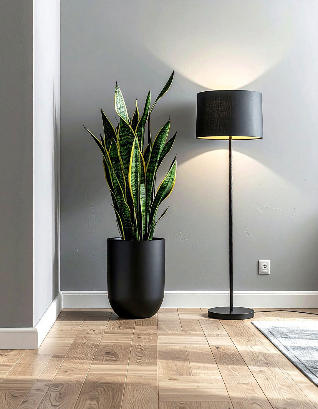 Tall Snake Plant Corner - 30 living room snake plant ideas