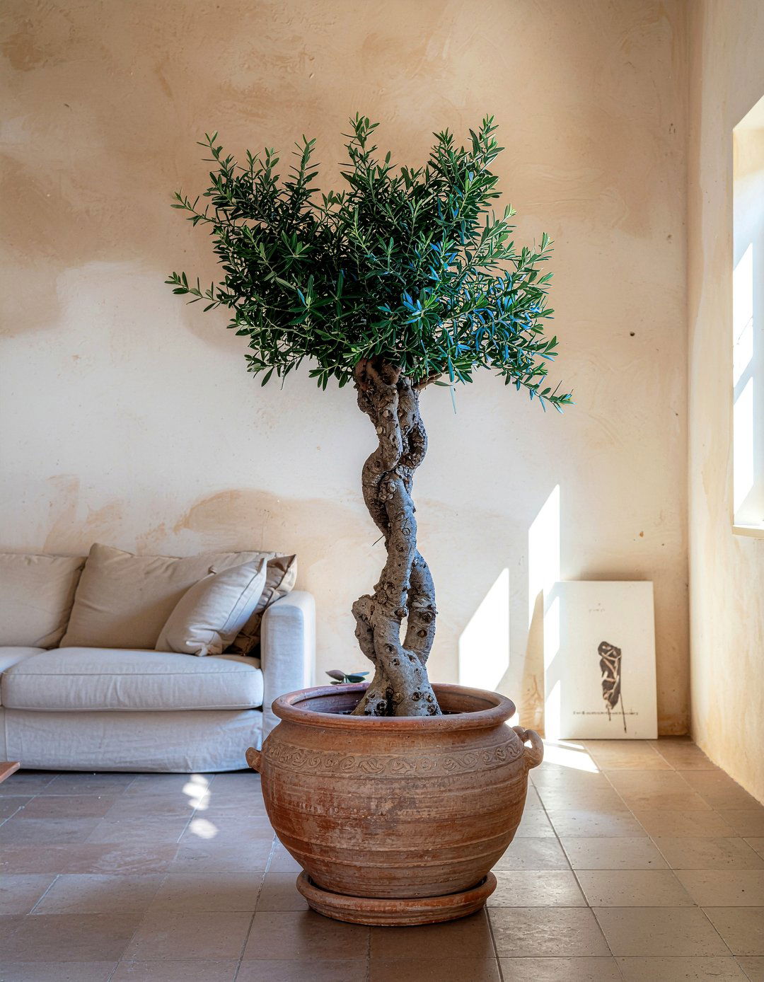 Terracotta Floor Pot - 30 living room planters