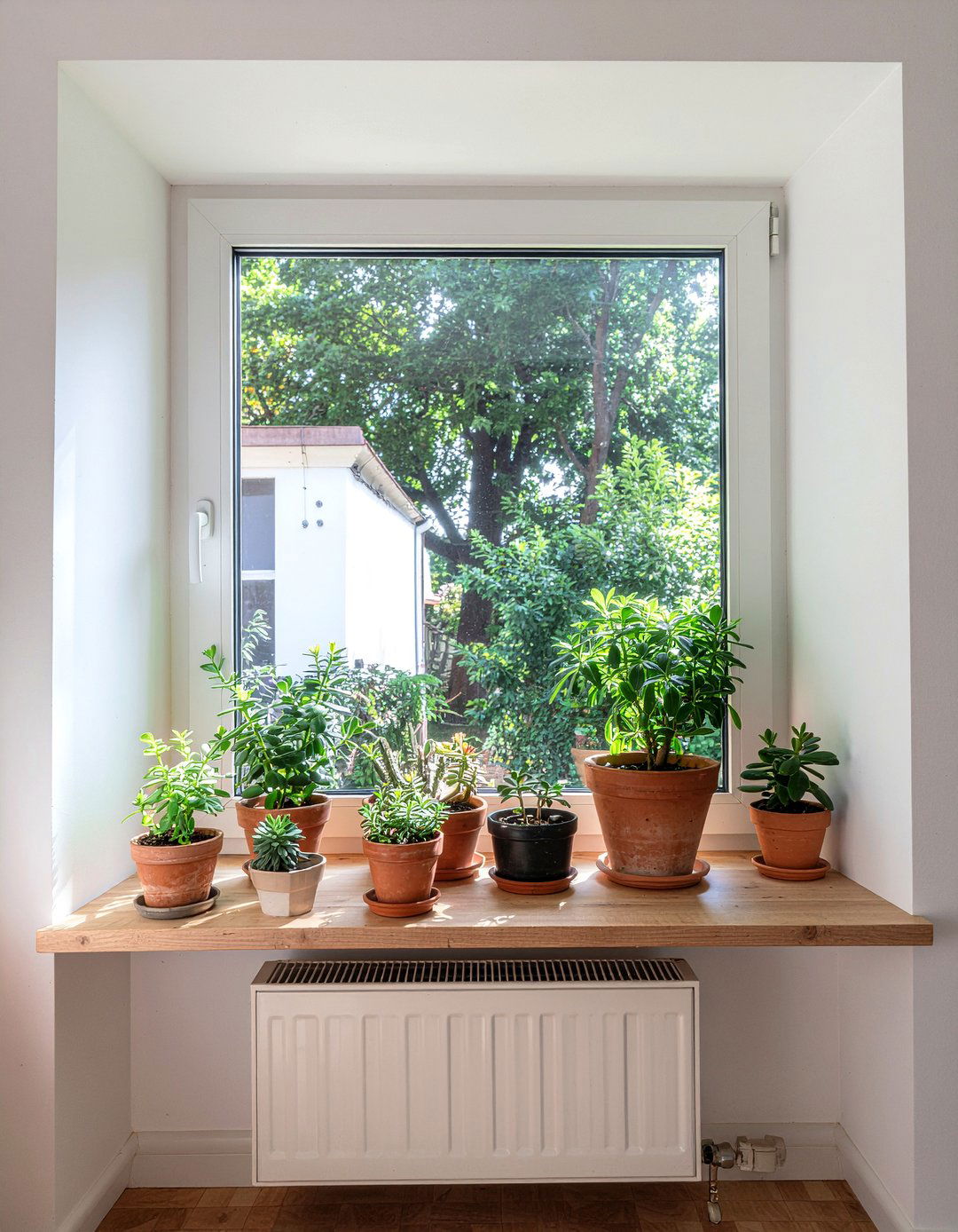 Terracotta Potted Plants Bedroom - 30 terracotta bedroom ideas