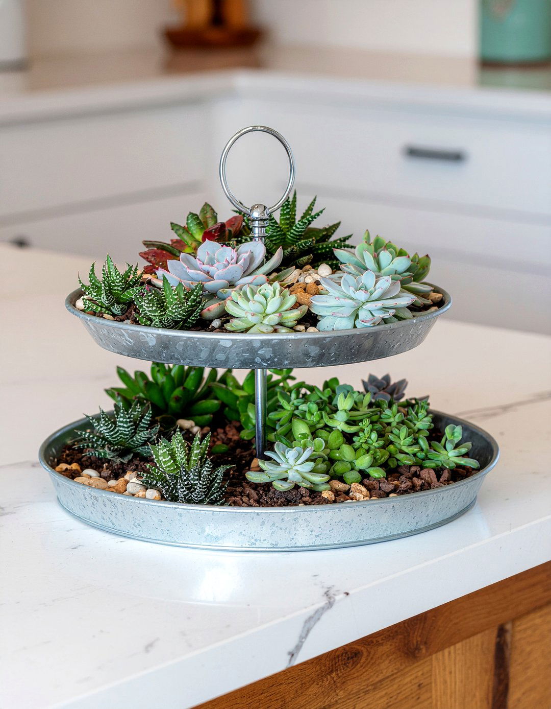 Tiered tray succulent arrangement - 30 kitchen succulent ideas
