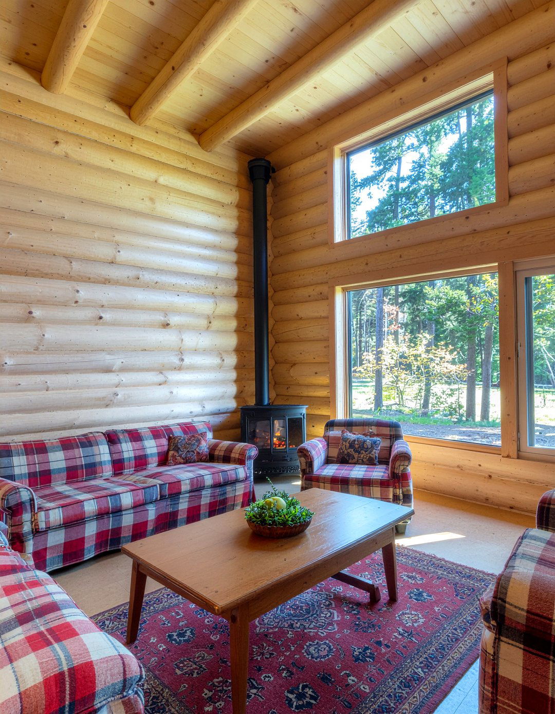 Traditional Log Home - 30 cabin style living room ideas