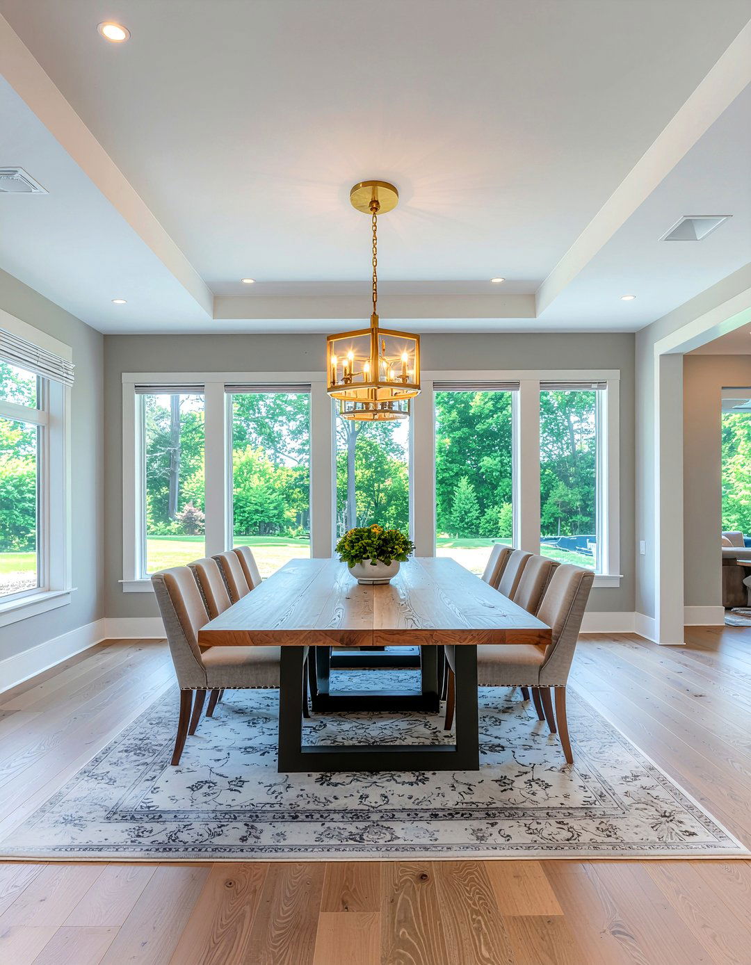 Tray Ceiling Dining Room - 30 new construction dining room ideas