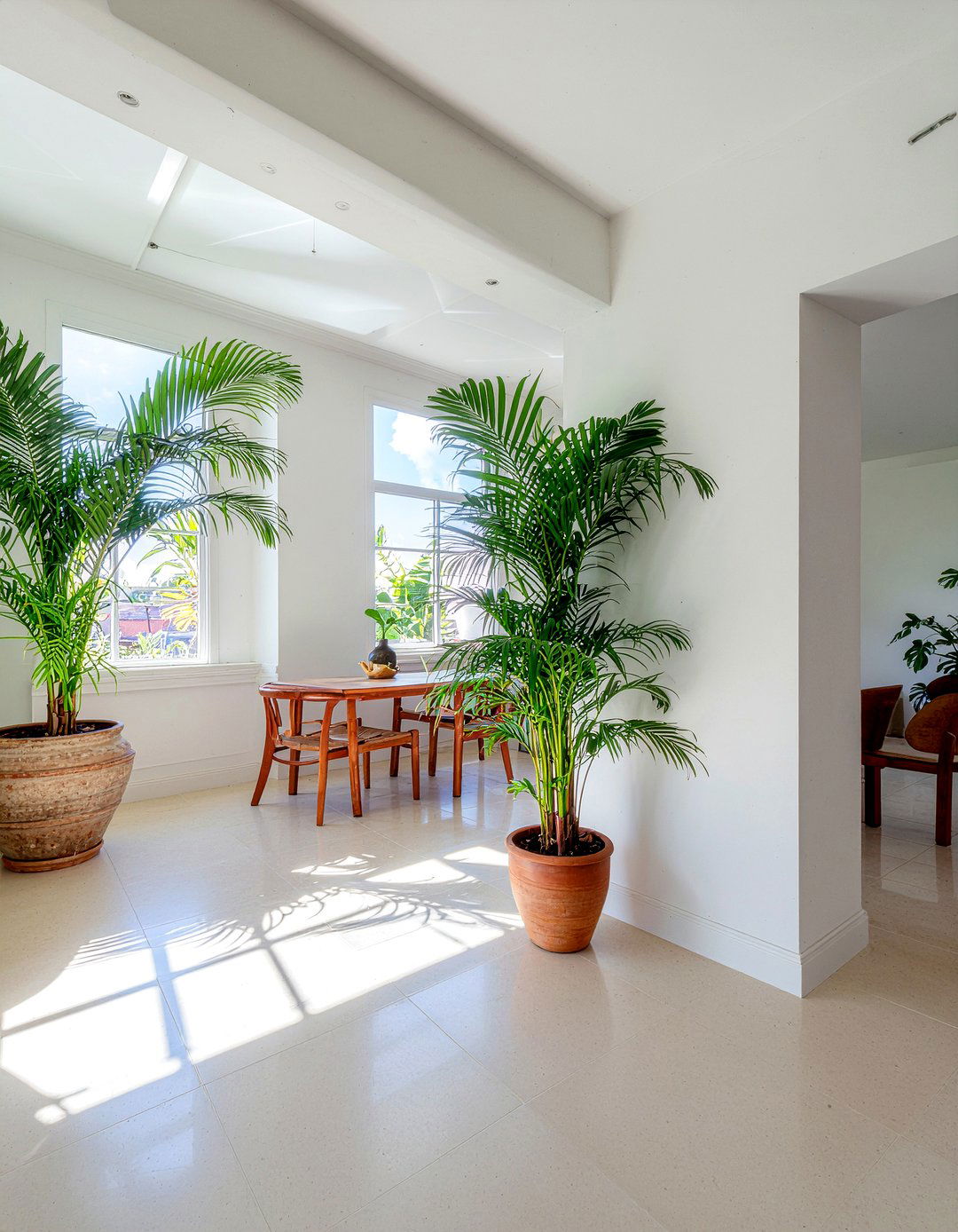 Tropical Indoor Plants - 30 Cuban dining room ideas