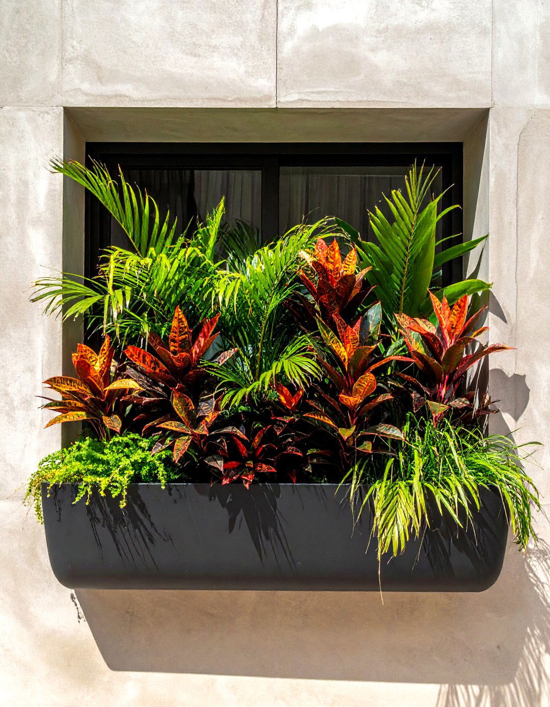 Tropical window box plants - 30 window box ideas