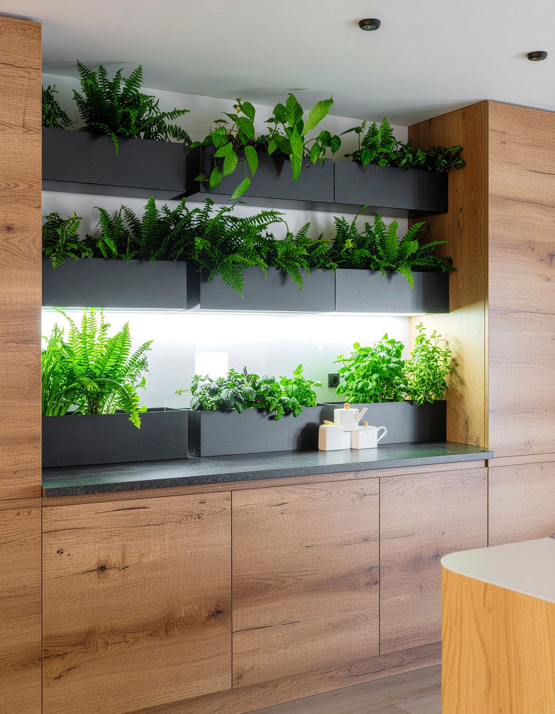 Vertical Garden Kitchen - 30 kitchen feature wall ideas
