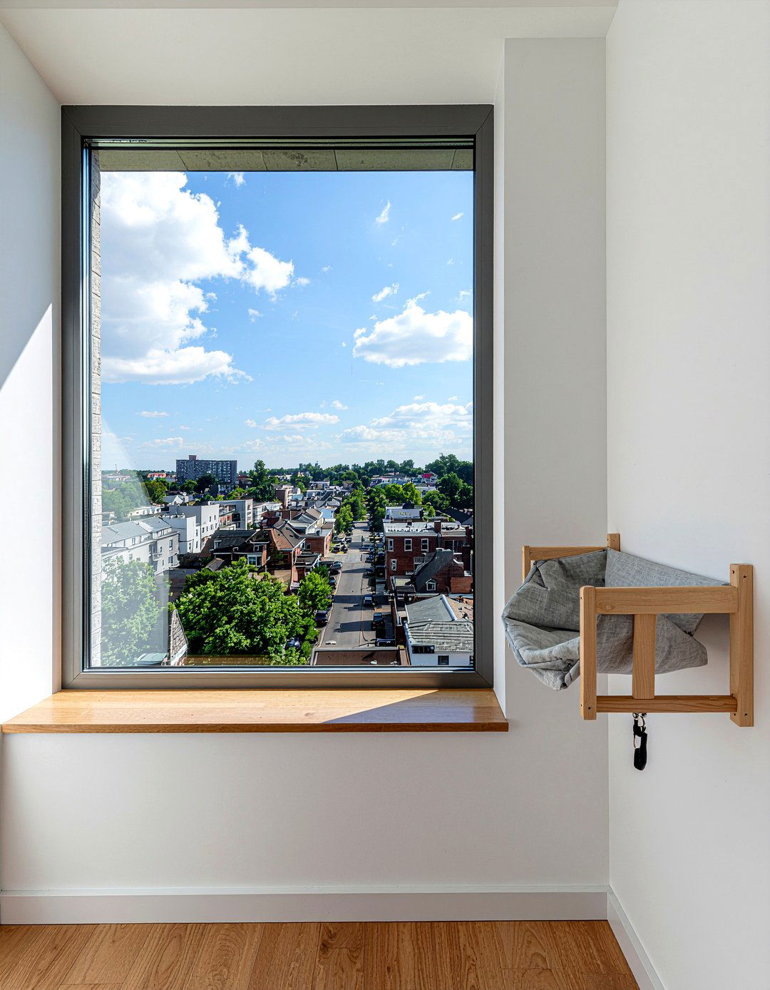 Wall Mounted Cat Hammock - 30 cat living room ideas