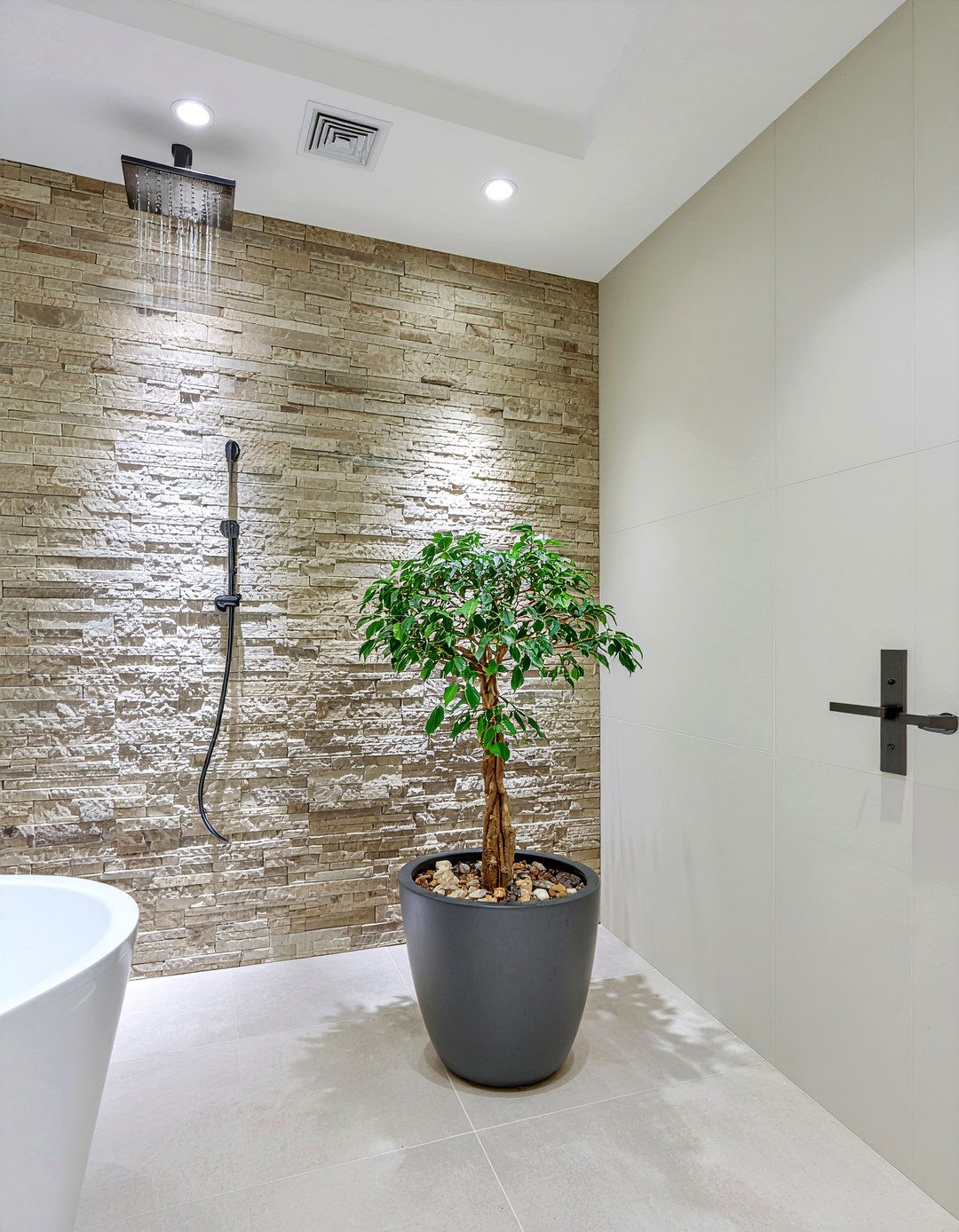 Weeping fig - 30 bathroom plants that thrive in humidity