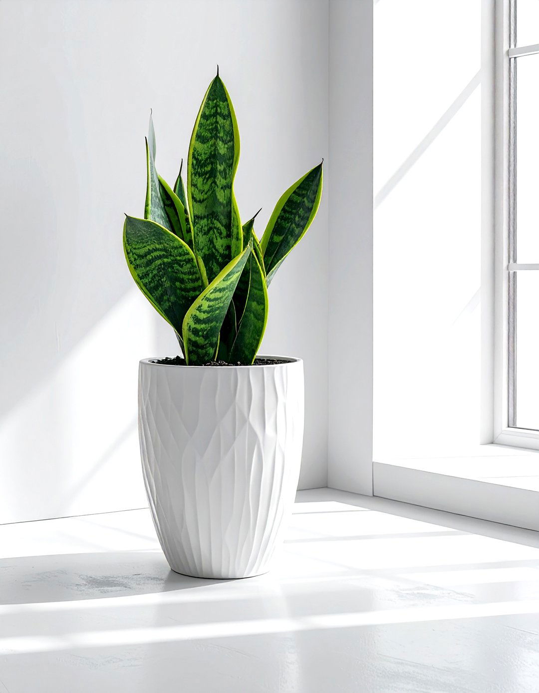 White Ceramic Planter - 30 white living room accessories ideas