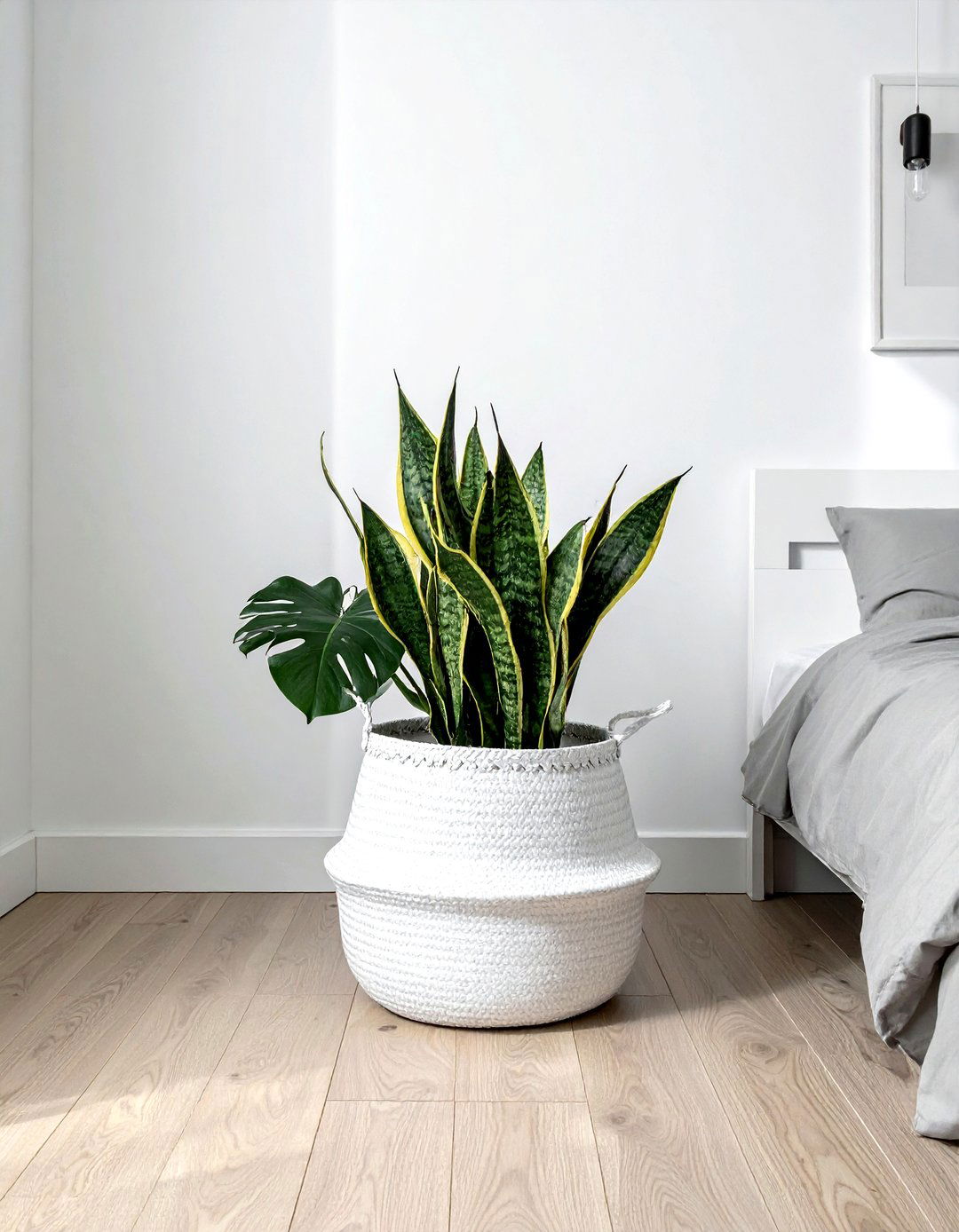 White Dipped Basket - 30 belly basket ideas