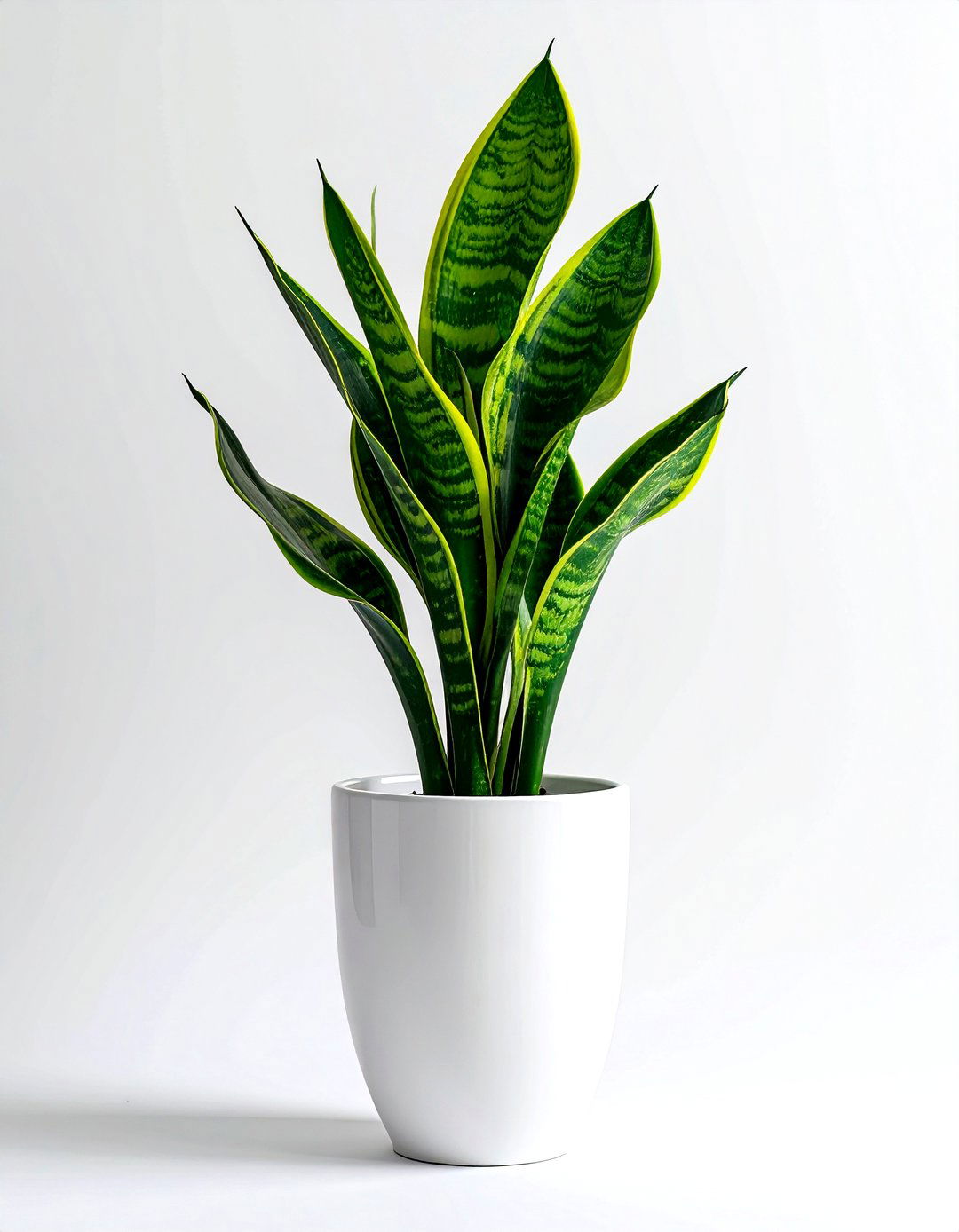 White Flower Pot - 30 white bedroom accessories ideas