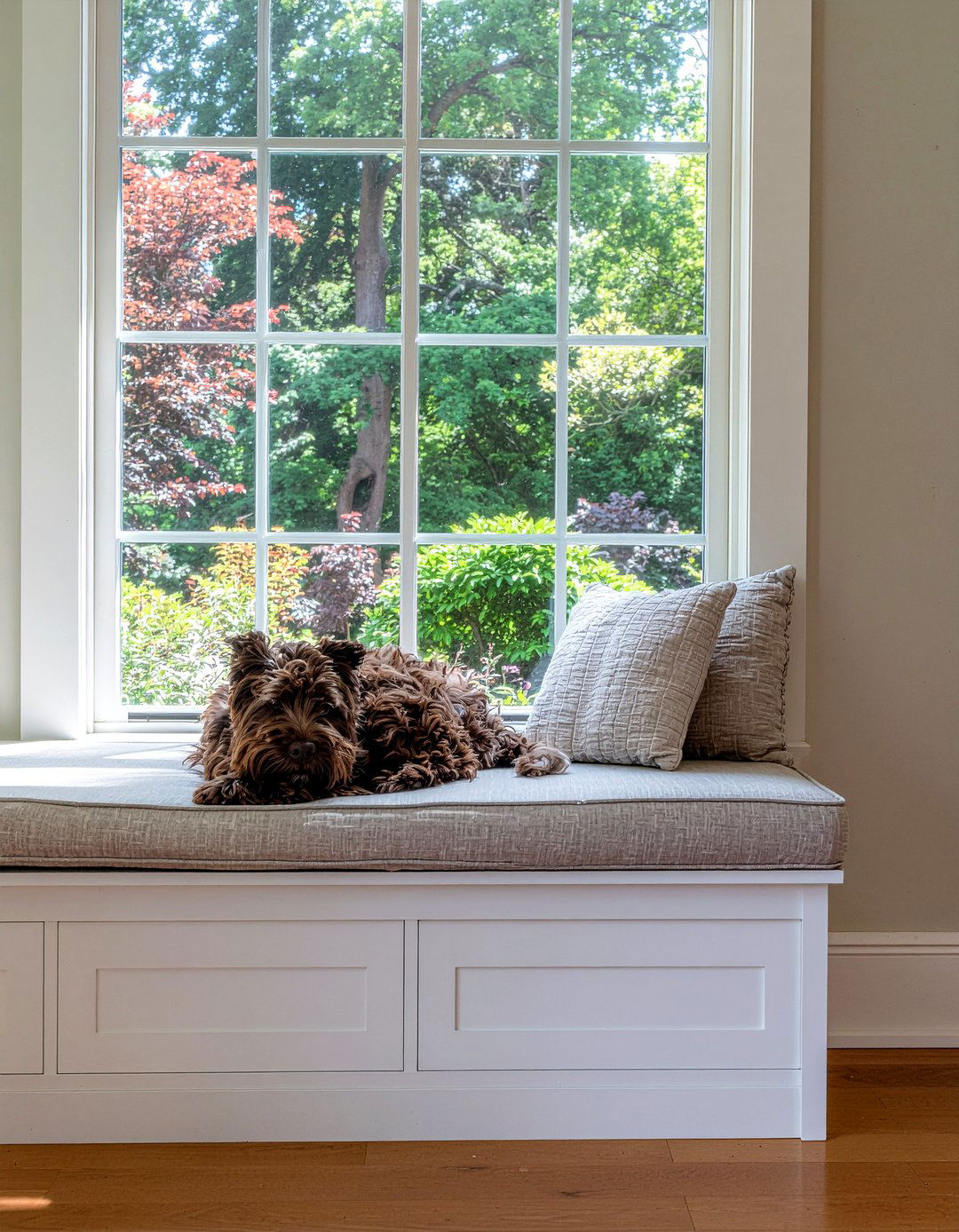Window Seat For Dogs - 30 dog living room ideas
